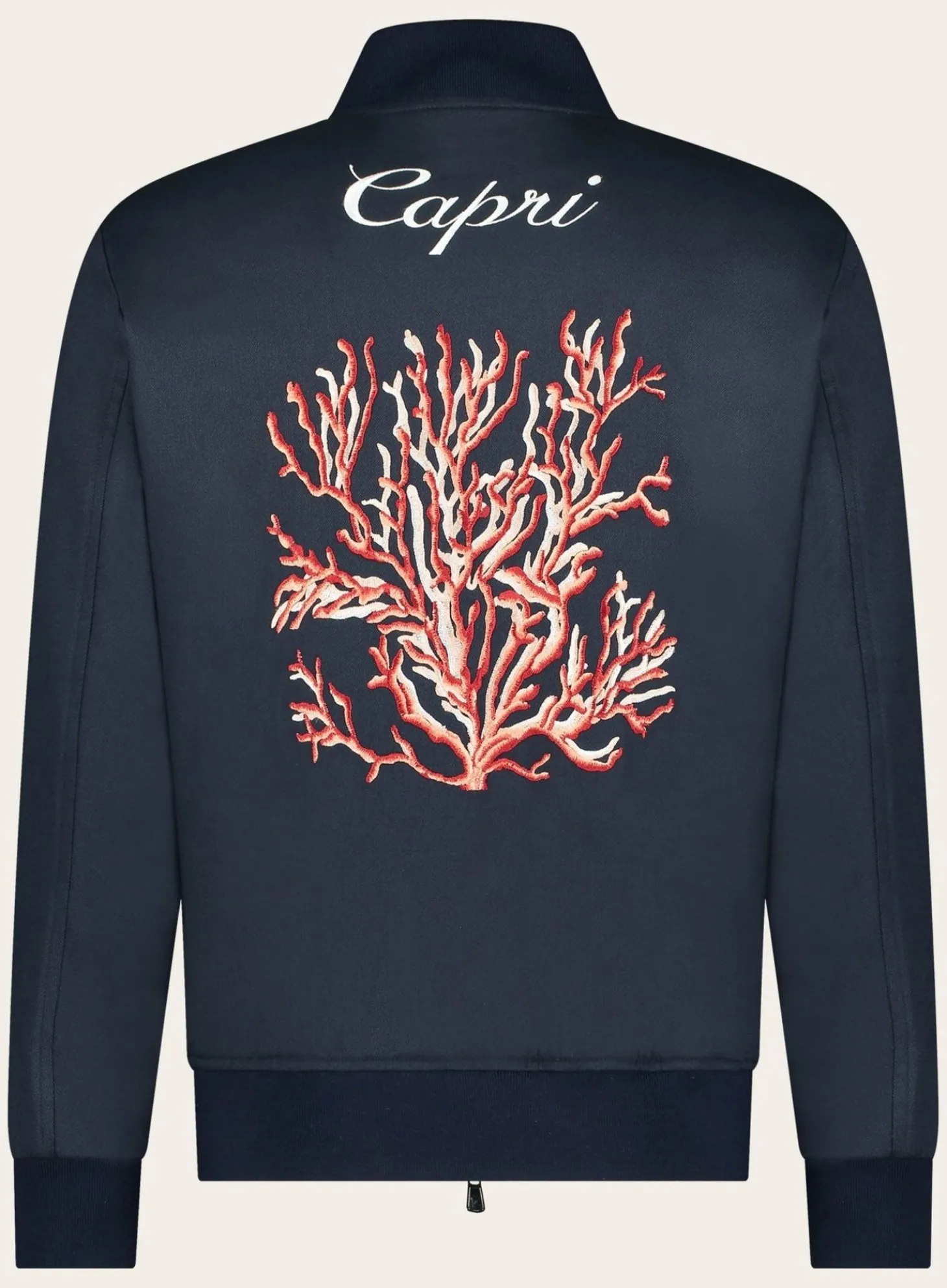 Bomberjack Met Print Van Wol, Zijde En Cashmere