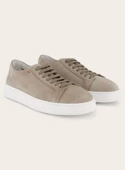Clean Icon Sneakers Van Suede