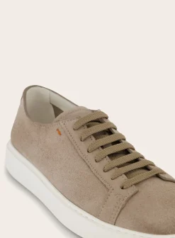 Clean Icon Sneakers Van Suede